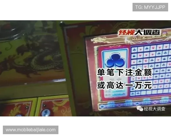 全面介绍百家乐技巧与规则，适合不同水平玩家的实用攻略让你成为游戏高手